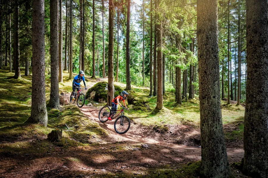 Två cyklister som cyklar nedför leden på Isaberg