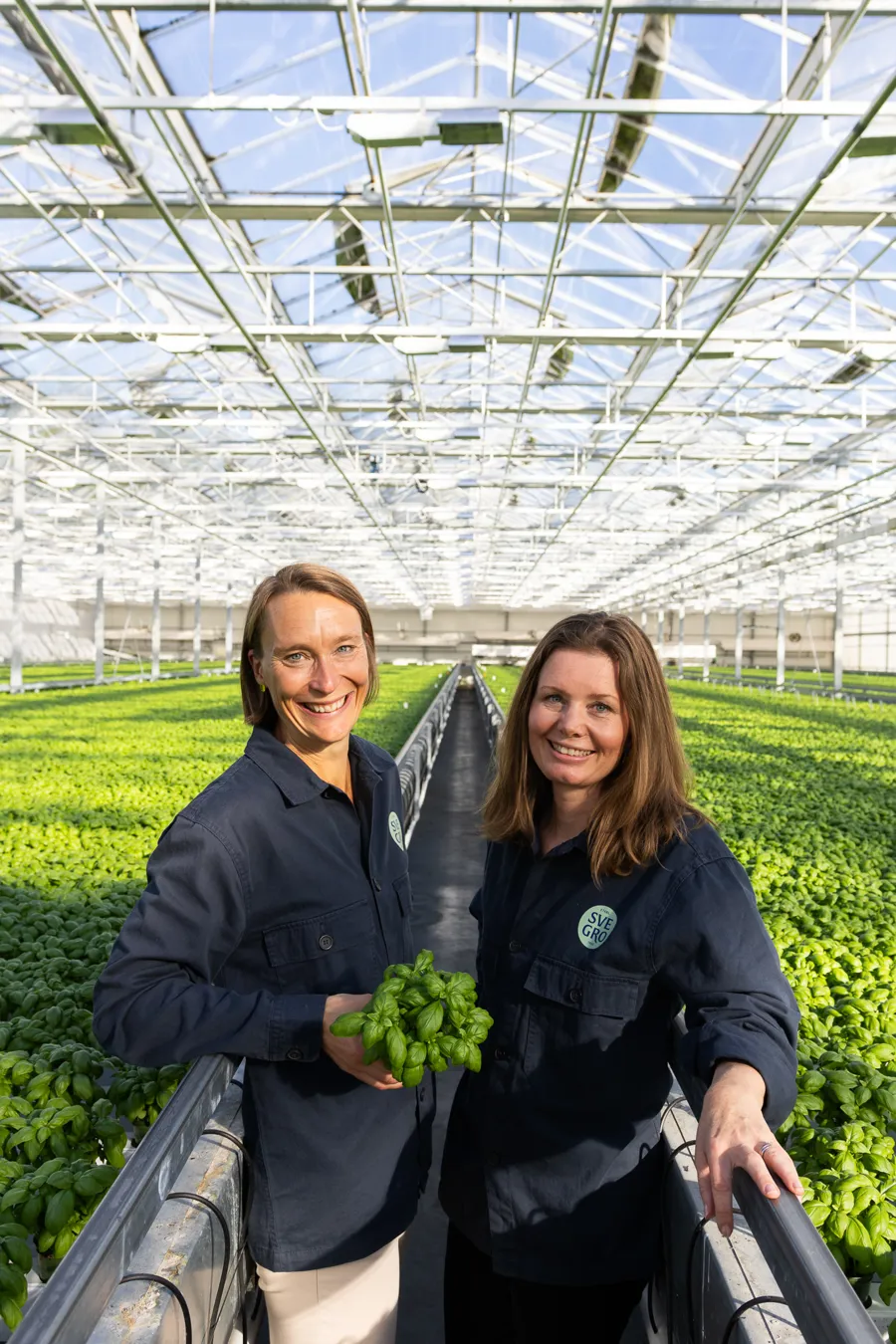 Kristin Orrestig, VD på Svegro och Caroline Wetterstrand, Marknad- och försäljningschef i ett av Svegros växthus. 